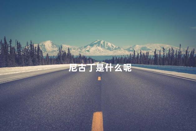 尼古丁是什么呢
