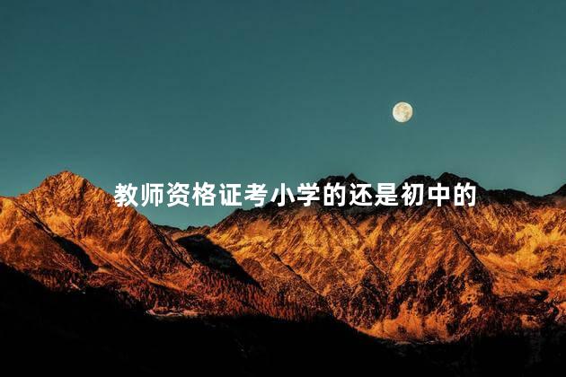 教师资格证考小学的还是初中的