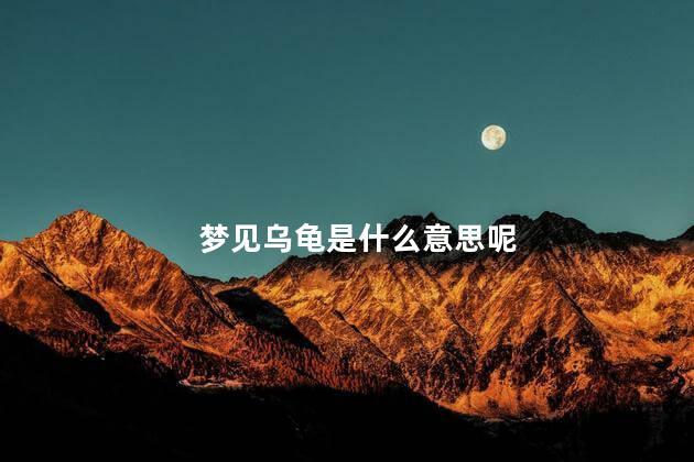 梦见乌龟是什么意思呢