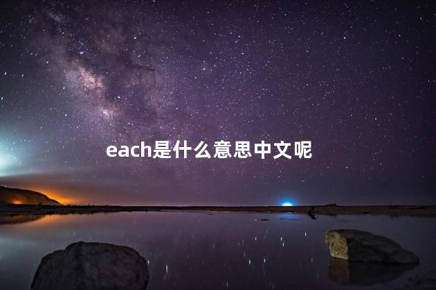 each是什么意思中文呢