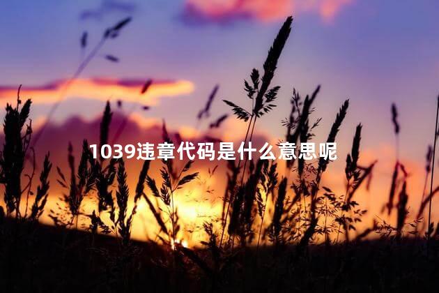 1039违章代码是什么意思呢