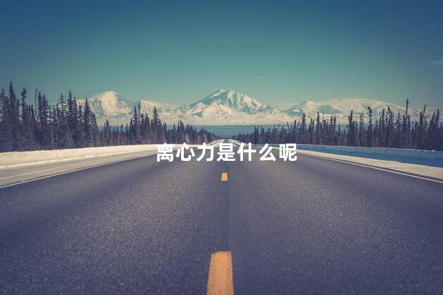 离心力是什么呢