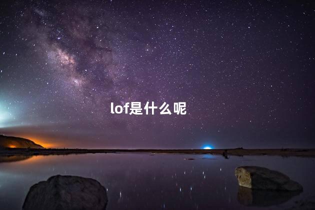 lof是什么呢