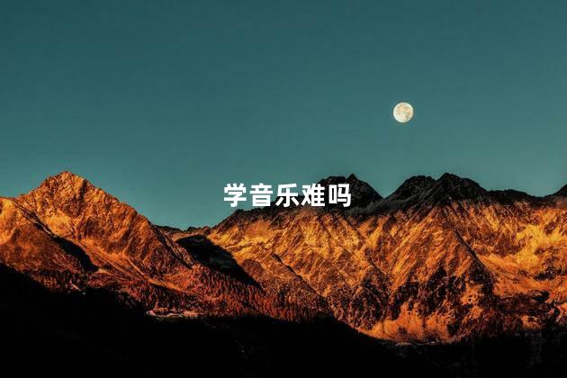 学音乐难吗