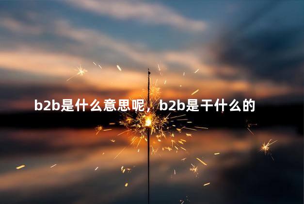 b2b是什么意思呢，b2b是干什么的