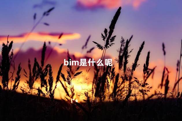 bim是什么呢,bim是指什么