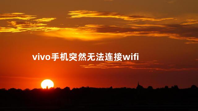 vivo手机突然无法连接wifi,vivo手机突然连不上网