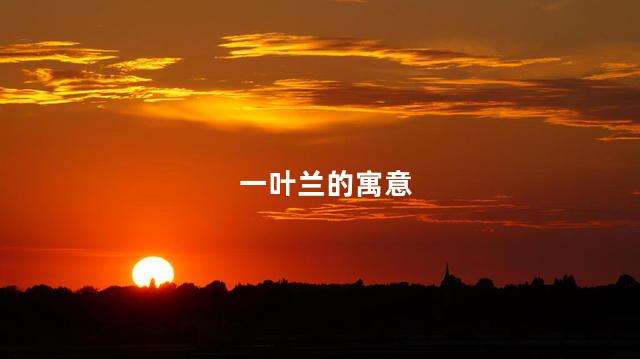 一叶兰的寓意,一叶兰的寓意是什么