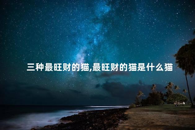 三种最旺财的猫,最旺财的猫是什么猫