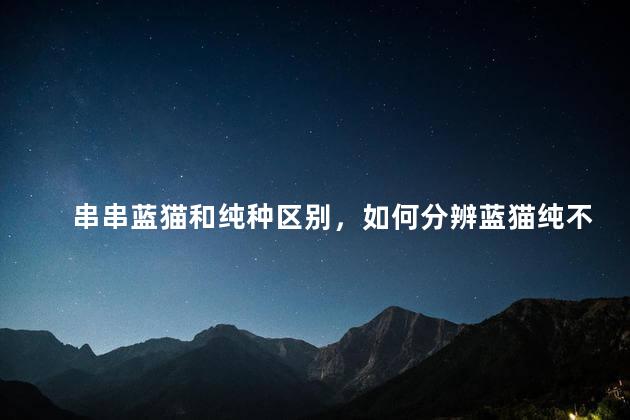 串串蓝猫和纯种区别，如何分辨蓝猫纯不纯