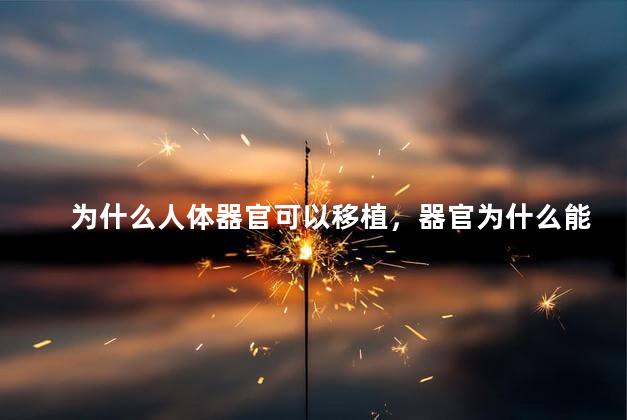 为什么人体器官可以移植，器官为什么能移植