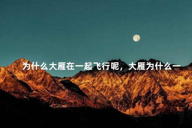 为什么大雁在一起飞行呢，大雁为什么一群一群的飞