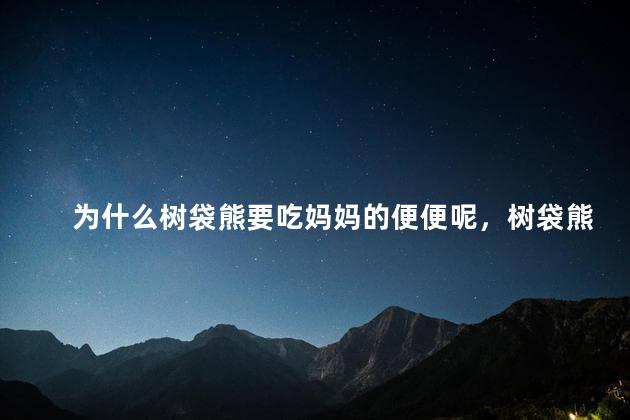 为什么树袋熊要吃妈妈的便便呢，树袋熊为什么要给宝宝吃屎