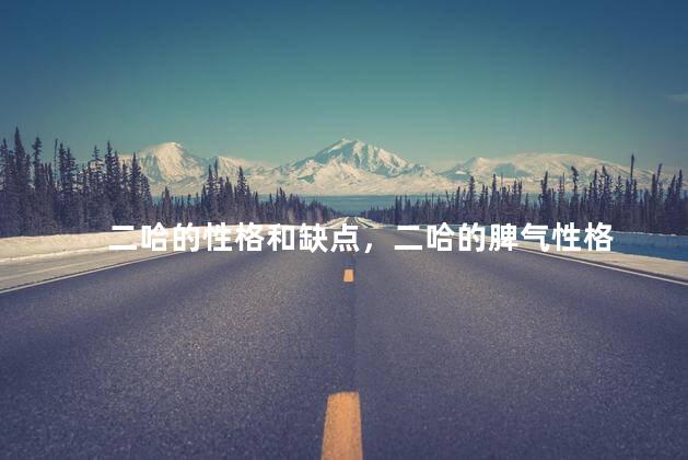 二哈的性格和缺点，二哈的脾气性格