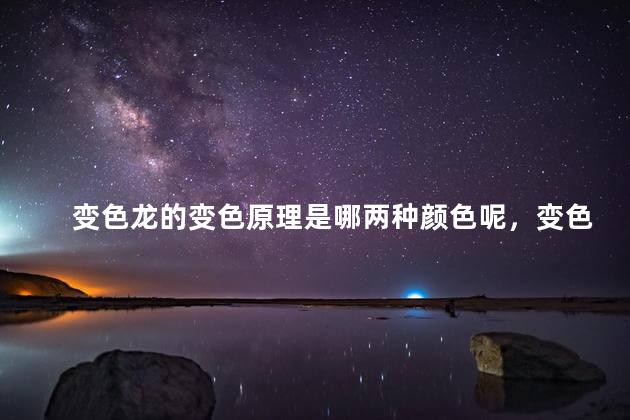 变色龙的变色原理是哪两种颜色呢，变色龙的变色原理是哪两种颜色的变化