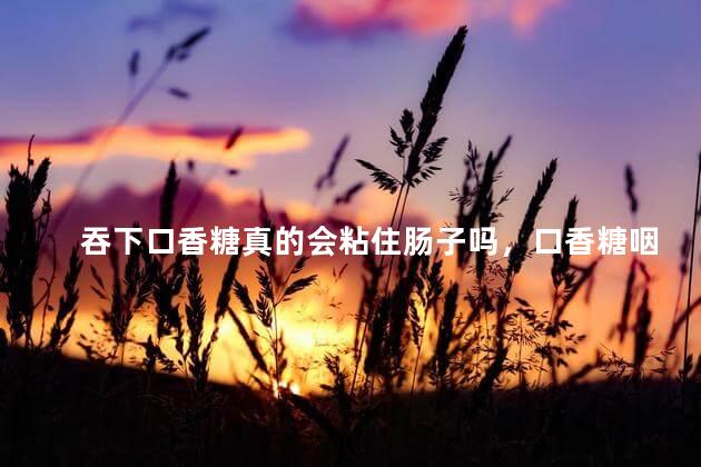 吞下口香糖真的会粘住肠子吗，口香糖咽到肚子里会怎样