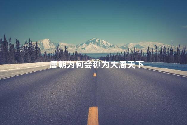 唐朝为何会称为大周天下，唐朝为什么称大周