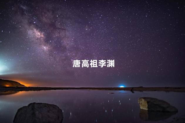 唐高祖李渊,唐高祖李渊的简介
