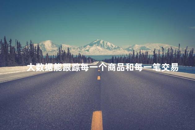 大数据能跟踪每一个商品和每一笔交易，大数据能跟踪购物记录