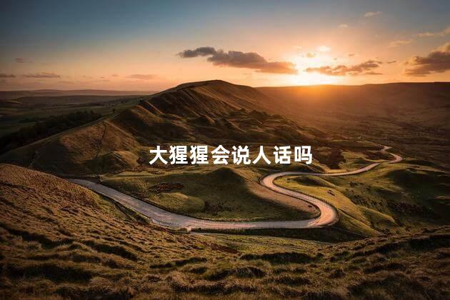 大猩猩会说人话吗，猩猩会不会说人话
