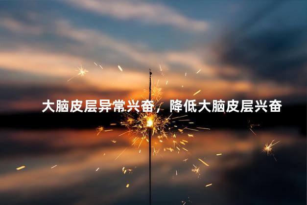 大脑皮层异常兴奋，降低大脑皮层兴奋