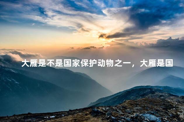 大雁是不是国家保护动物之一，大雁是国家保护动物吗