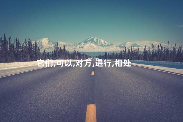 男狗女猪相配吗 男属狗女属猪婚配