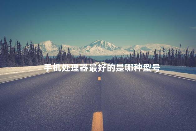 手机处理器最好的是哪种型号，手机处理器最好的是哪种