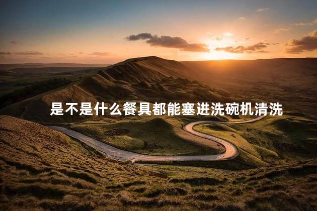 是不是什么餐具都能塞进洗碗机清洗，餐具都能塞进洗碗机清洗吗