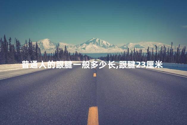 普通人的跟腱一般多少长,跟腱23厘米算长吗