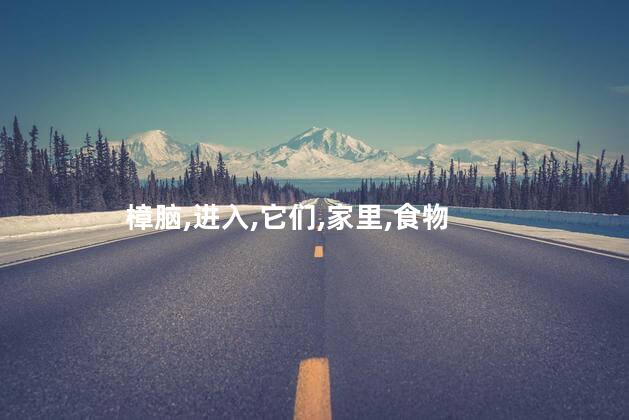 樟脑丸是什么呢 樟脑丸对蟑螂有用吗