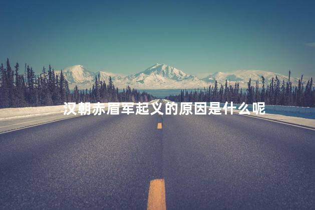 汉朝赤眉军起义的原因是什么呢，赤眉军起义指的是什么