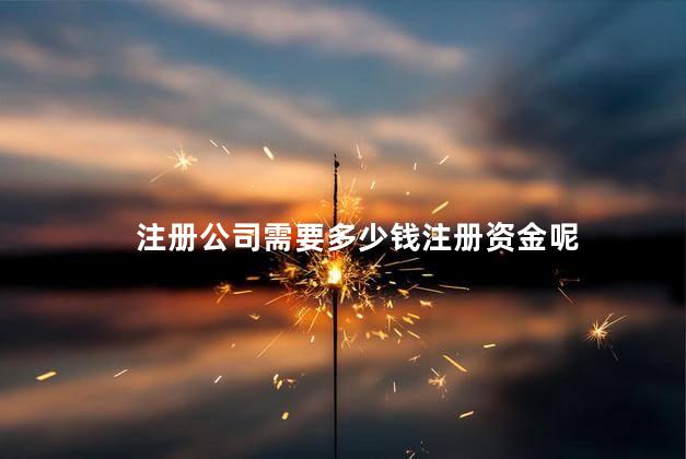 注册公司需要多少钱注册资金呢 公司的注册资金是什么意思