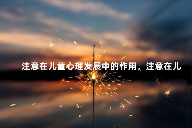 注意在儿童心理发展中的作用，注意在儿童心理发展中的意义