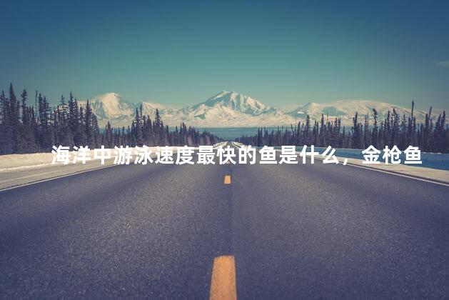 海洋中游泳速度最快的鱼是什么，金枪鱼游泳速度