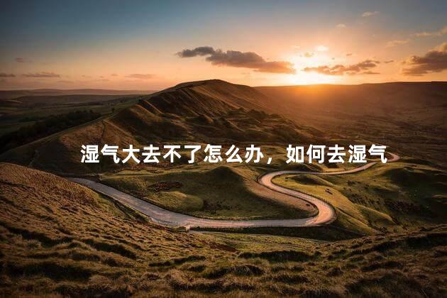 湿气大去不了怎么办，如何去湿气