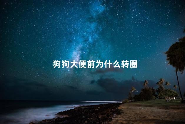 狗狗大便前为什么转圈，为什么狗拉便便前会转圈