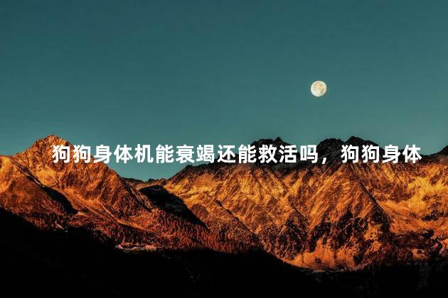 狗狗身体机能衰竭还能救活吗，狗狗身体机能衰竭还能不能救活呢