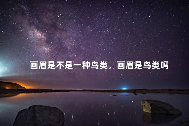 画眉是不是一种鸟类，画眉是鸟类吗