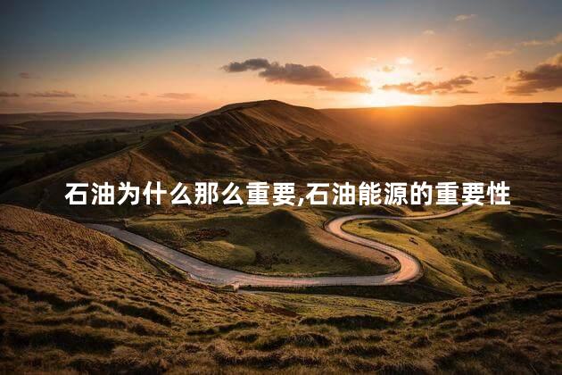 石油为什么那么重要,石油能源的重要性
