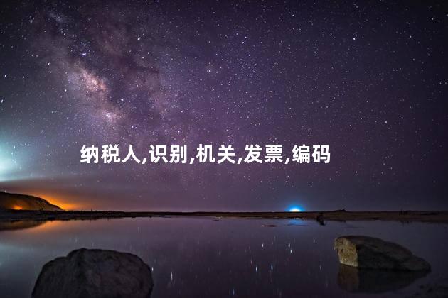 纳税人代码是什么呢 纳税人编码是哪个
