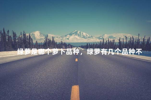 绿萝是哪个萝卜品种，绿萝有几个品种不爬
