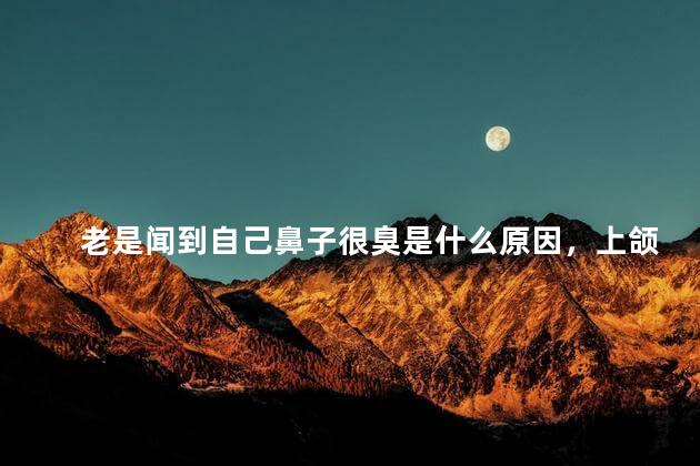 老是闻到自己鼻子很臭是什么原因，上颌窦积液满了