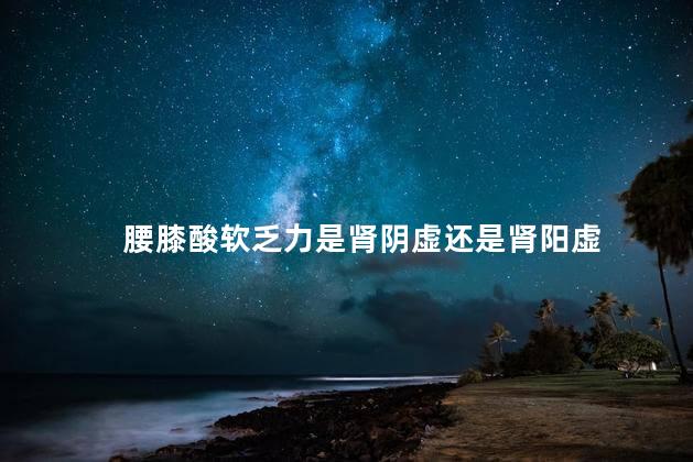 腰膝酸软乏力是肾阴虚还是肾阳虚,腰膝酸痛的原因