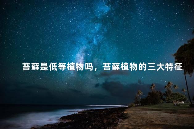 苔藓是低等植物吗，苔藓植物的三大特征是什么