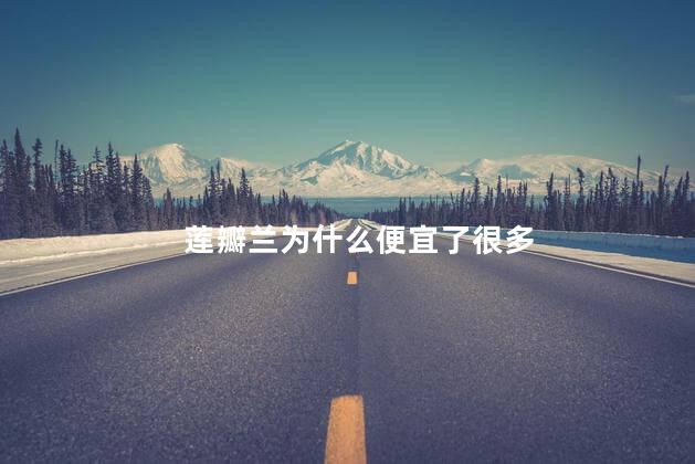 莲瓣兰为什么便宜了很多，莲瓣兰怎么便宜了