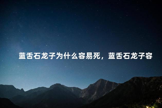蓝舌石龙子为什么容易死，蓝舌石龙子容易死吗