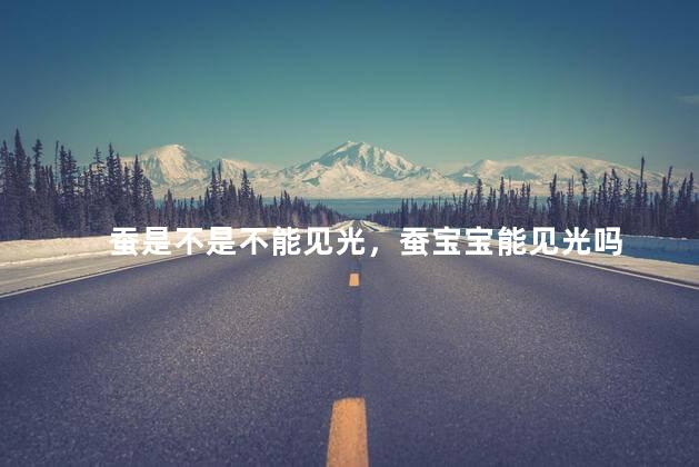 蚕是不是不能见光，蚕宝宝能见光吗