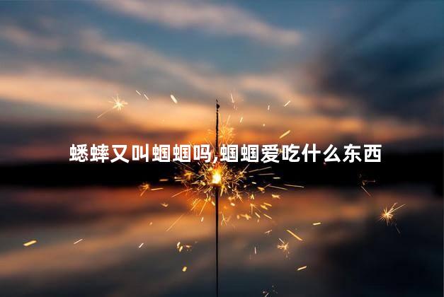 蟋蟀又叫蝈蝈吗,蝈蝈爱吃什么东西