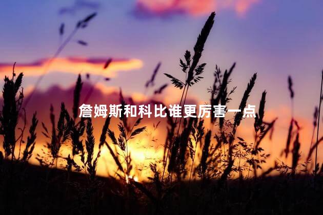 詹姆斯和科比谁更厉害一点，詹姆斯牛还是科比牛